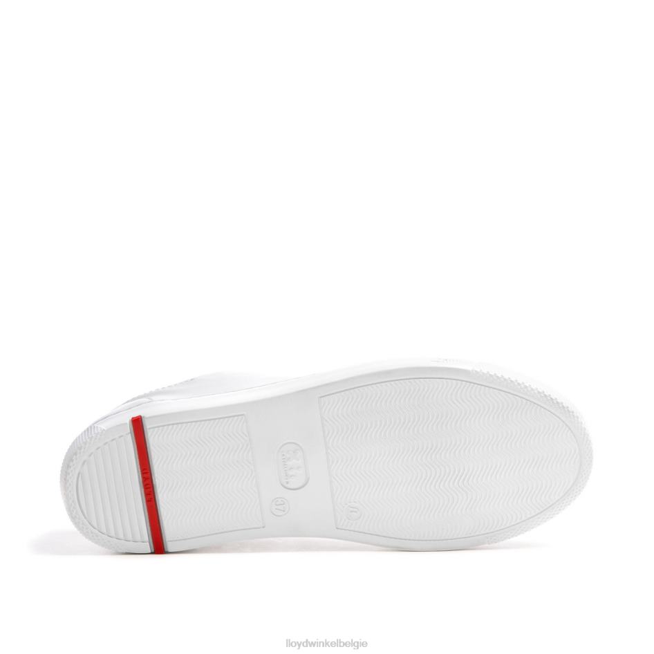 lage sneaker vrouwen LLOYD wit schoenen ZJ6BL786