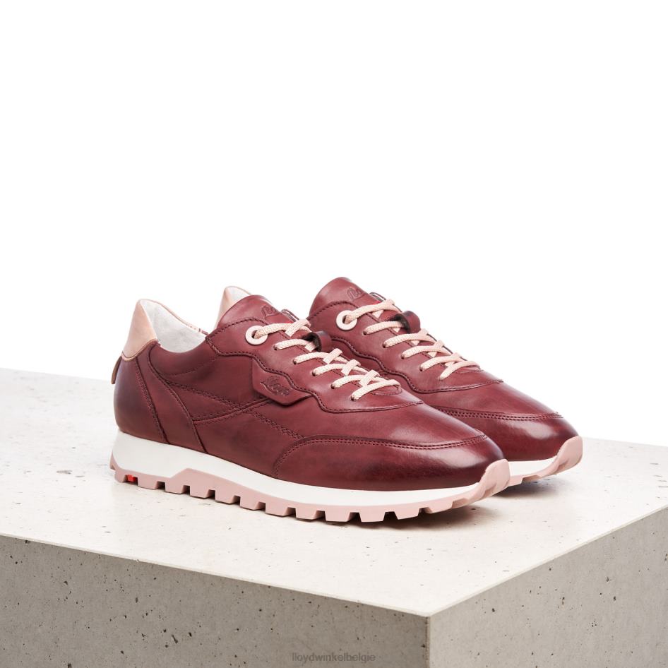 lage sneakers vrouwen LLOYD rood schoenen ZJ6BL803