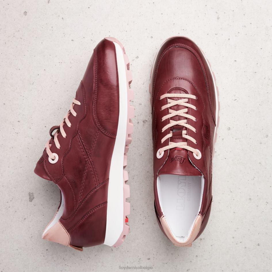 lage sneakers vrouwen LLOYD rood schoenen ZJ6BL803