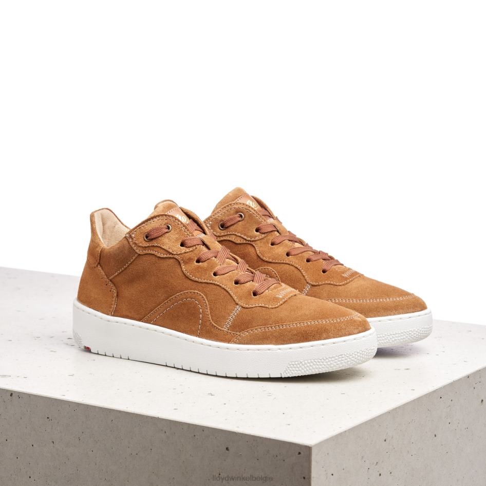 leren lage sneakers vrouwen LLOYD bruin schoenen ZJ6BL782