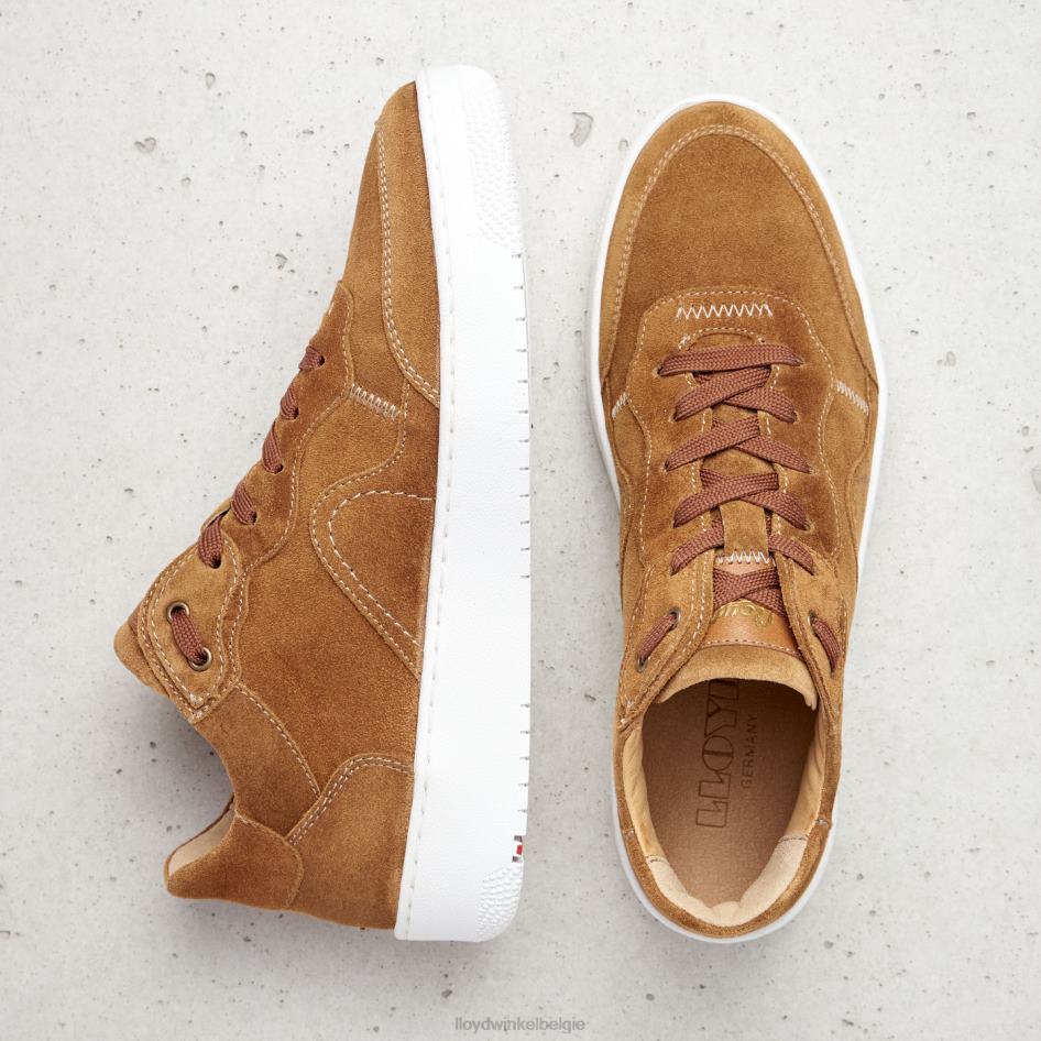 leren lage sneakers vrouwen LLOYD bruin schoenen ZJ6BL782