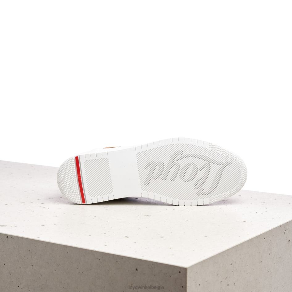 leren lage sneakers vrouwen LLOYD bruin schoenen ZJ6BL782