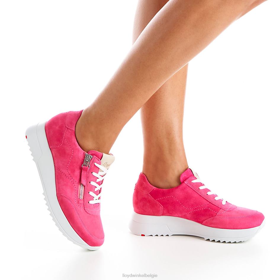 sportieve look-sneaker vrouwen LLOYD roze schoenen ZJ6BL843