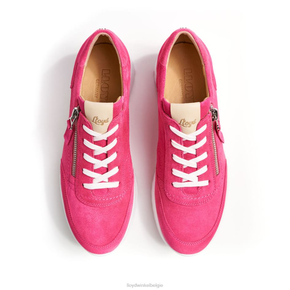 sportieve look-sneaker vrouwen LLOYD roze schoenen ZJ6BL843