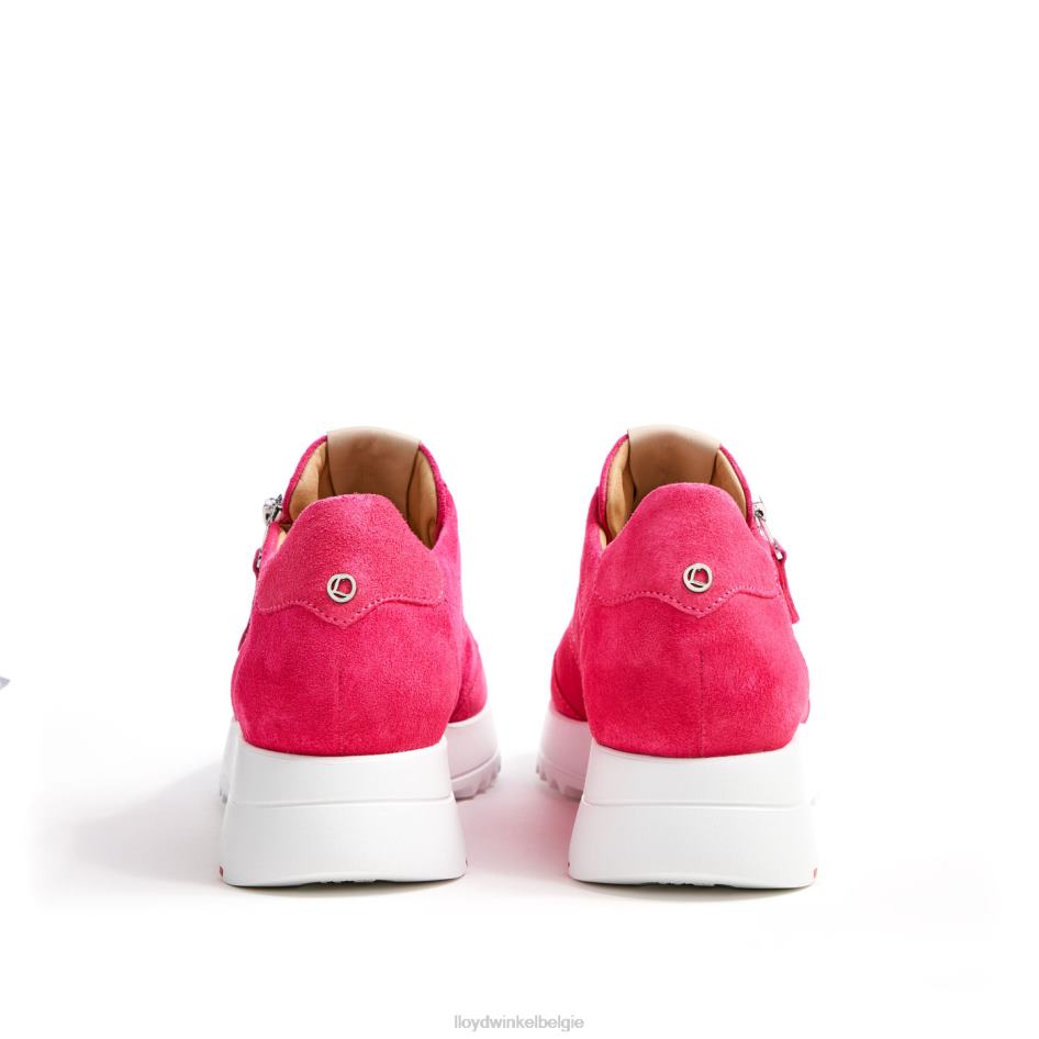 sportieve look-sneaker vrouwen LLOYD roze schoenen ZJ6BL843