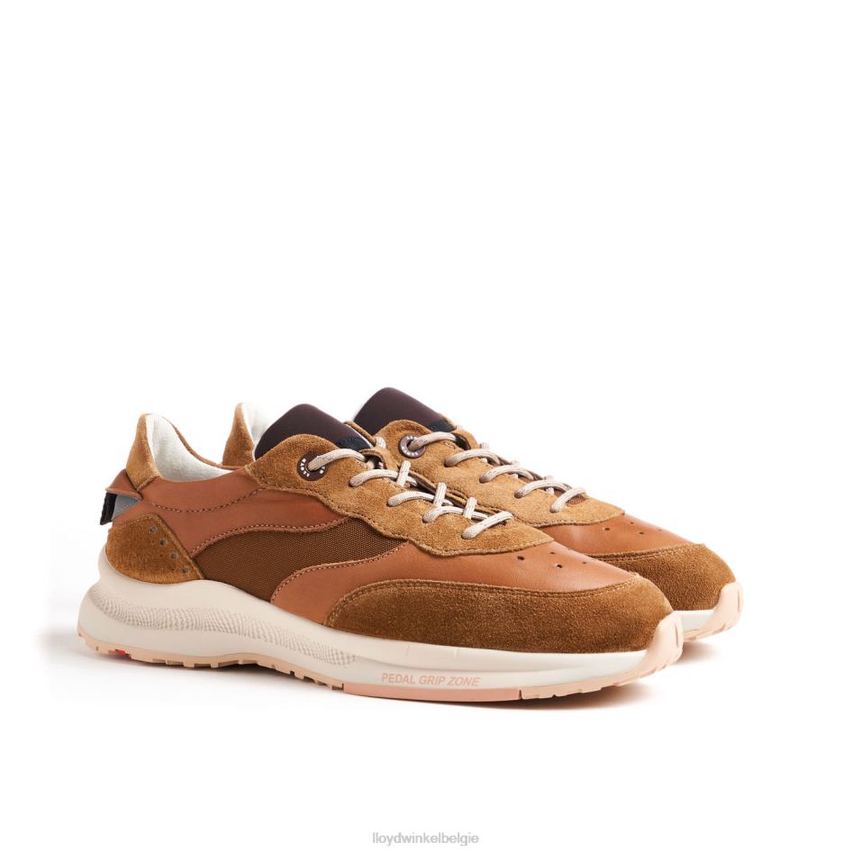 velo 2 vrouwen LLOYD bruin schoenen ZJ6BL796