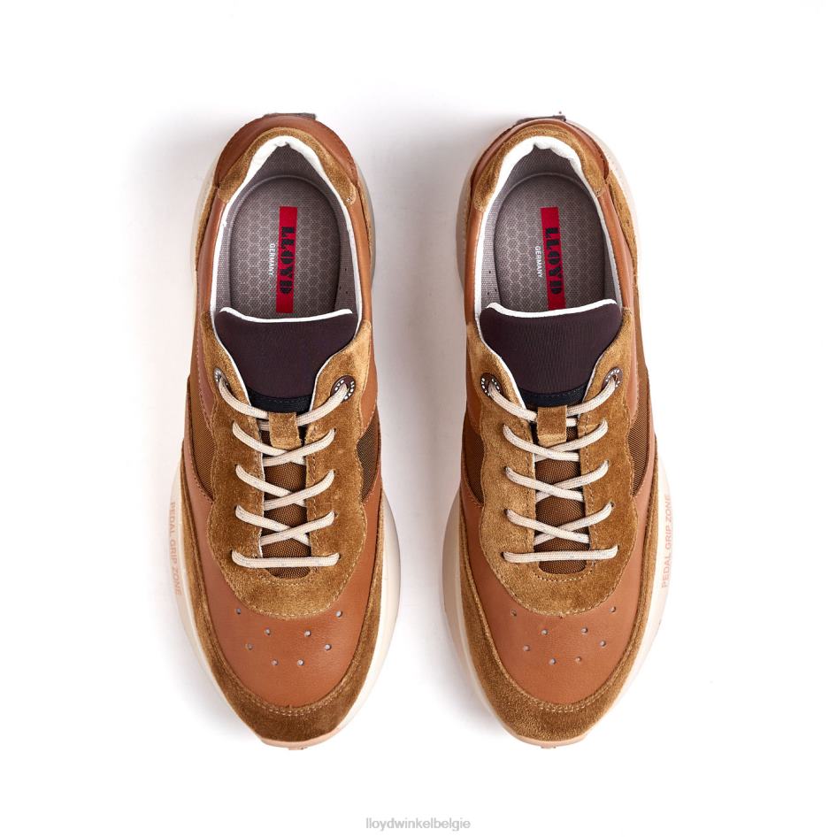 velo 2 vrouwen LLOYD bruin schoenen ZJ6BL796