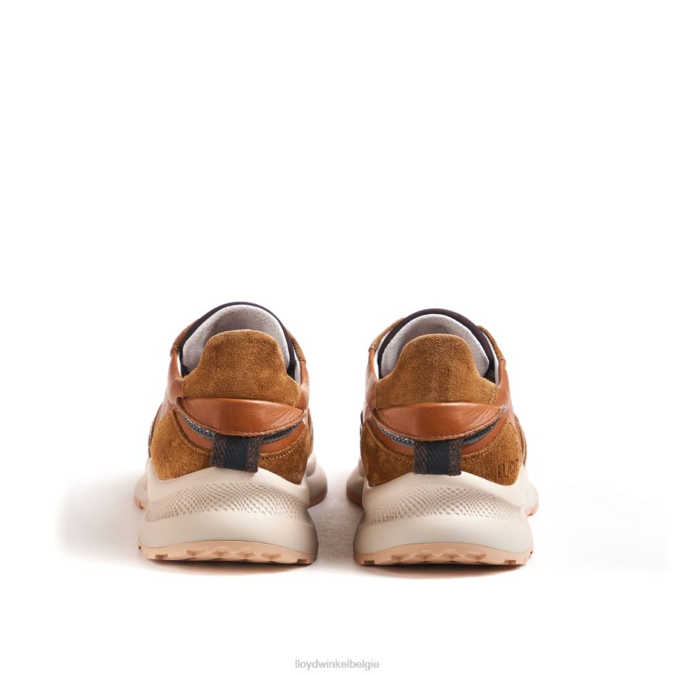 velo 2 vrouwen LLOYD bruin schoenen ZJ6BL796