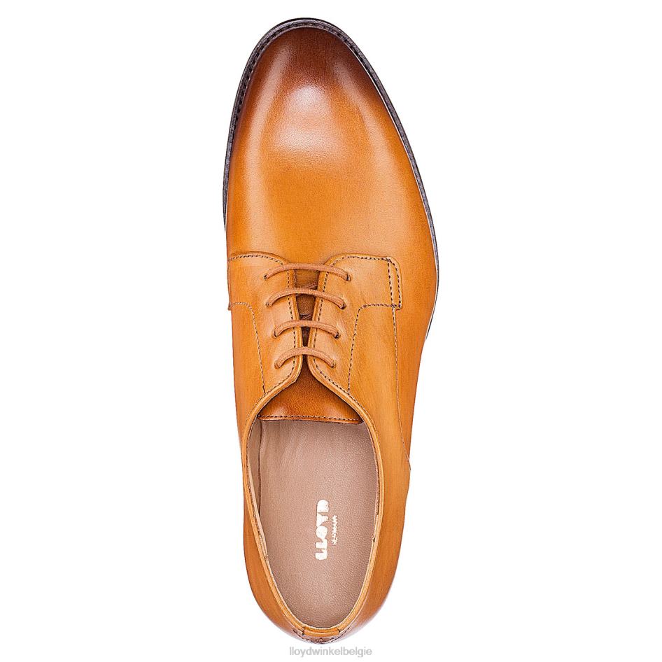 halve schoenen met veters vrouwen LLOYD bruin schoenen ZJ6BL1090